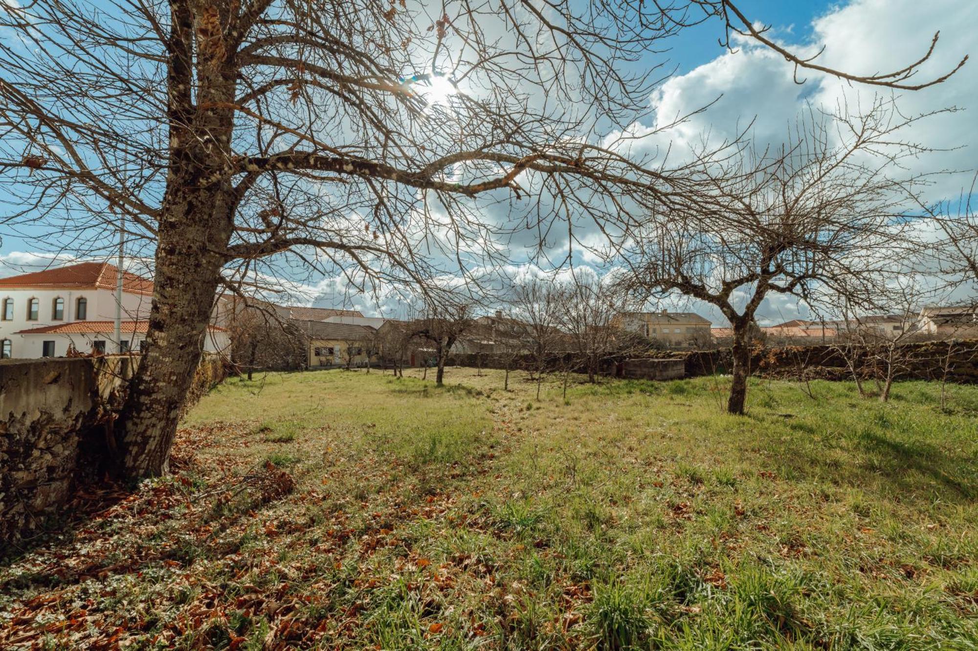 Casa Do Malhadinhas By Vacationy Villa Vila Nova de Paiva Kültér fotó